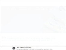 Tablet Screenshot of iba-international.com